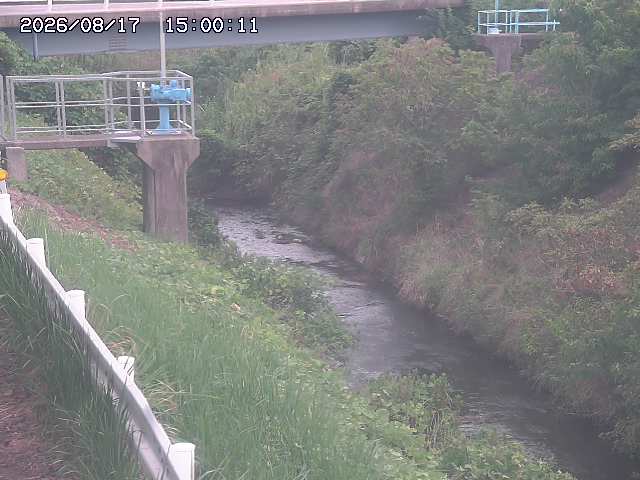 鴨川１2026/08/17 20:40:00