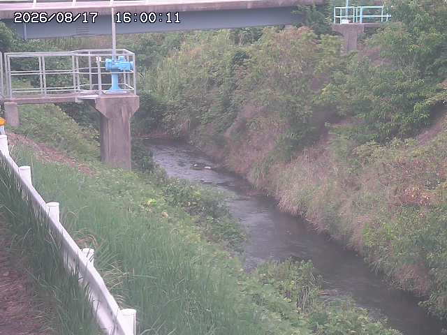 鴨川１2026/08/17 20:40:00