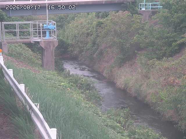 鴨川１2026/08/17 20:40:00