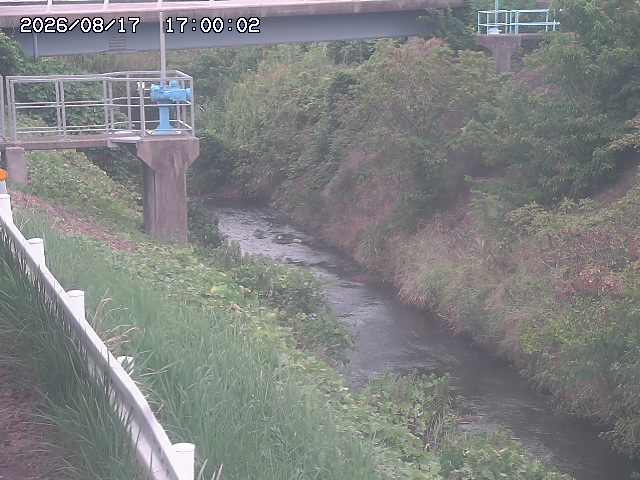 鴨川１2026/08/17 20:40:00