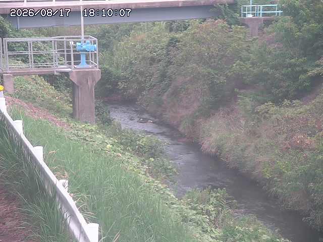 鴨川１2026/08/17 20:40:00