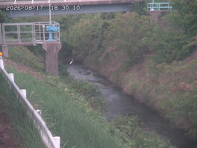 鴨川１2026/08/17 20:40:00