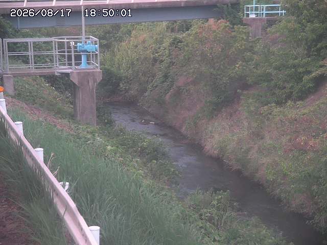 鴨川１2026/08/17 20:40:00