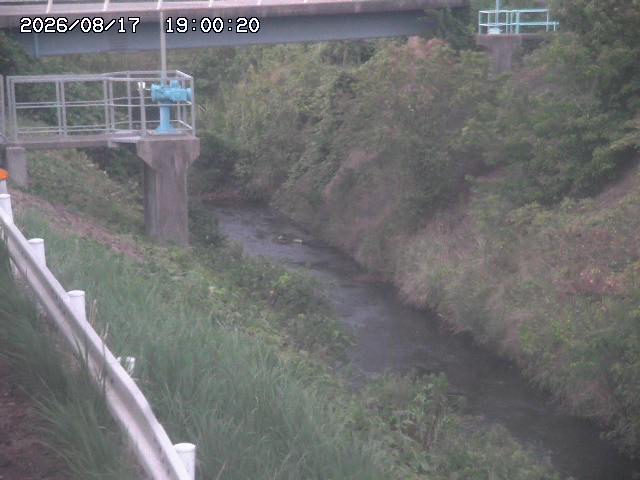 鴨川１2026/08/17 20:40:00