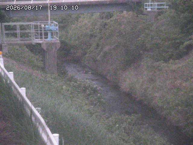 鴨川１2026/08/17 20:40:00