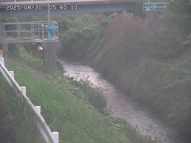 鴨川１2025/08/31 9:20:00