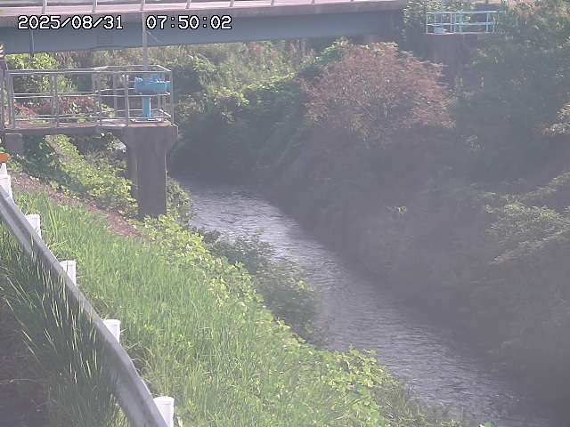 鴨川１2025/08/31 9:20:00