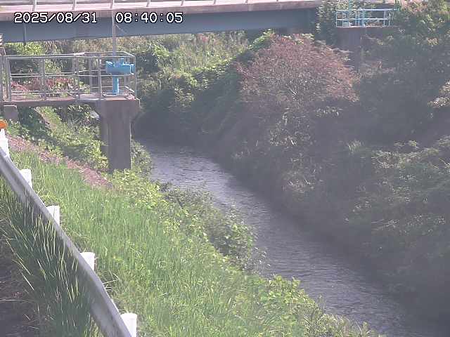鴨川１2025/08/31 9:20:00