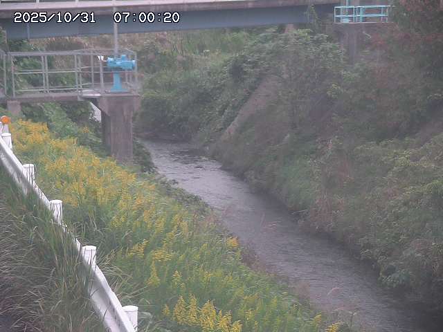 鴨川12025/11/01 0:00:00