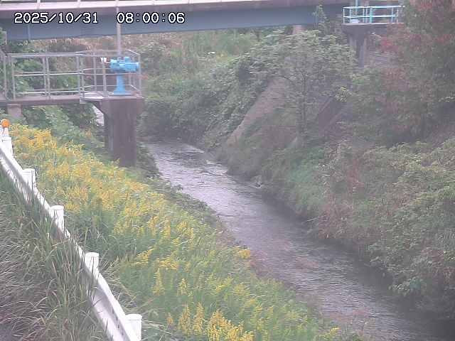 鴨川12025/11/01 0:00:00