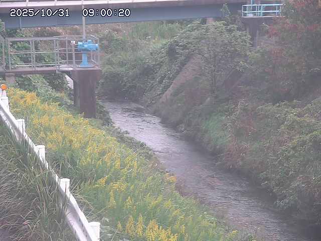 鴨川12025/11/01 0:00:00