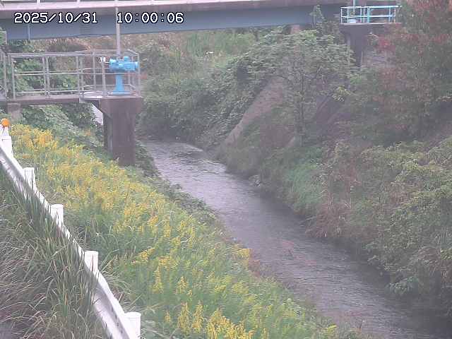 鴨川12025/11/01 0:00:00