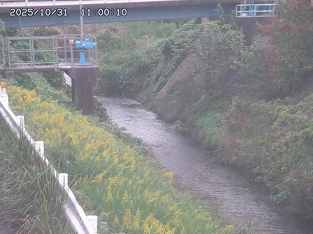 鴨川12025/11/01 0:00:00