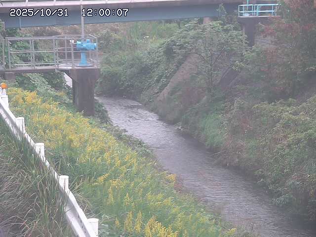 鴨川12025/11/01 0:00:00
