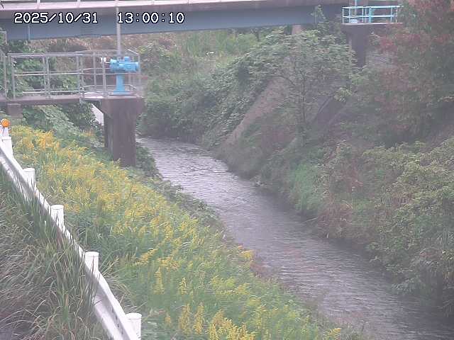 鴨川12025/11/01 0:00:00