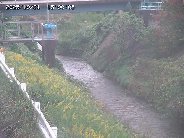 鴨川12025/11/01 0:00:00