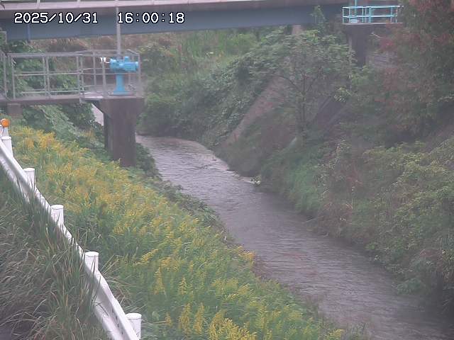 鴨川12025/11/01 0:00:00