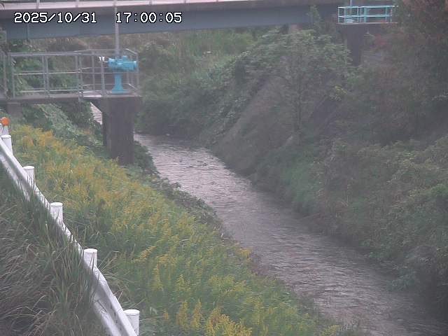 鴨川12025/11/01 0:00:00