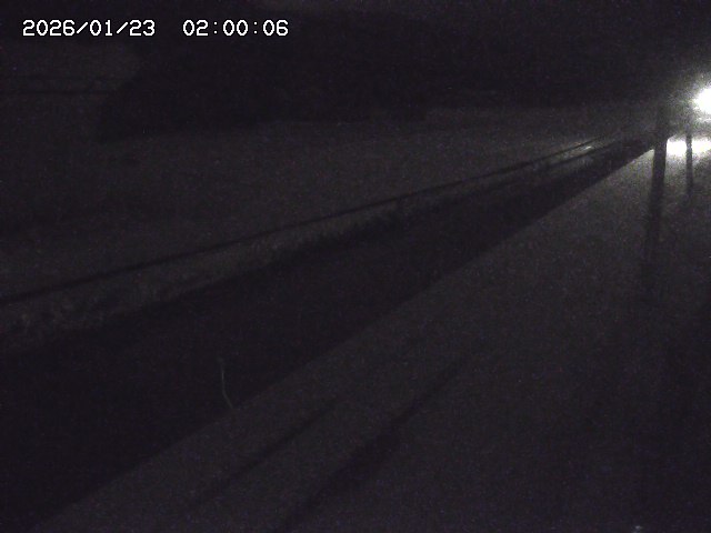 北条川２2026/01/24 2:50:00