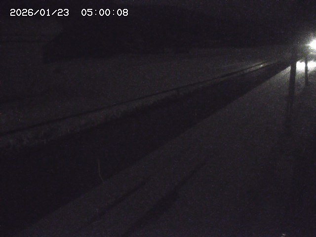 北条川２2026/01/24 2:50:00