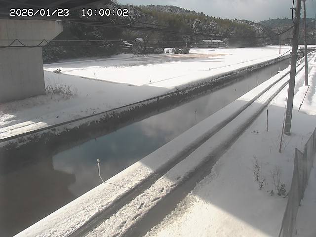 北条川２2026/01/24 2:50:00