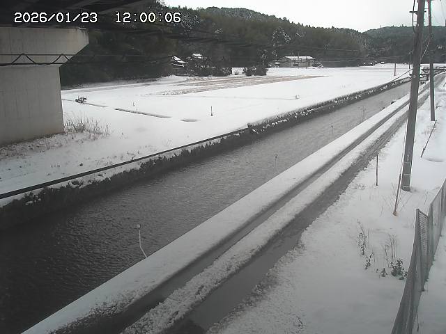 北条川２2026/01/24 2:50:00