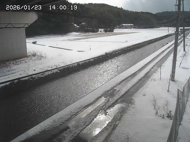 北条川２2026/01/24 2:50:00