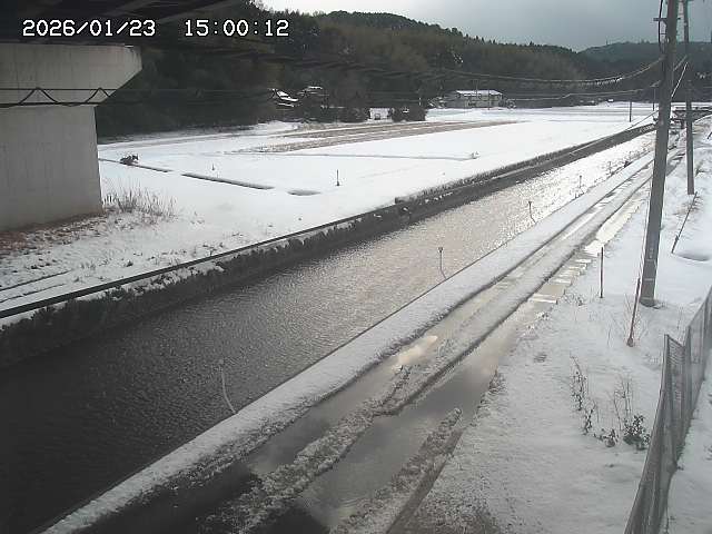 北条川２2026/01/24 2:50:00