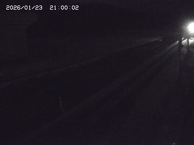 北条川２2026/01/24 2:50:00