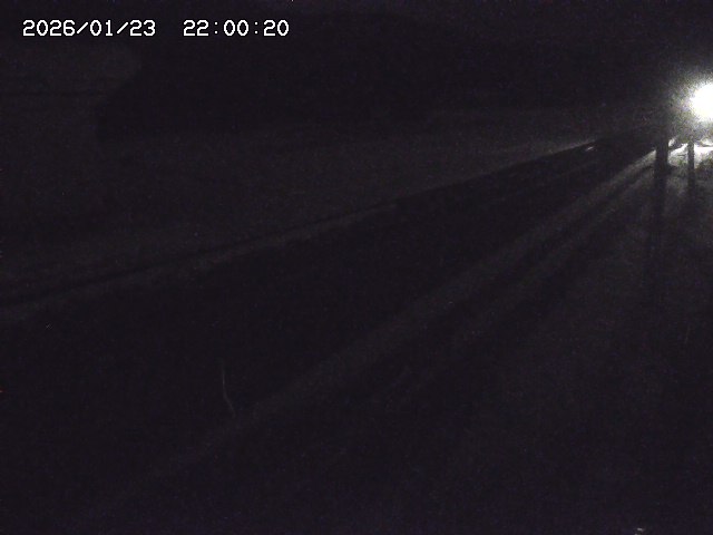 北条川２2026/01/24 2:50:00