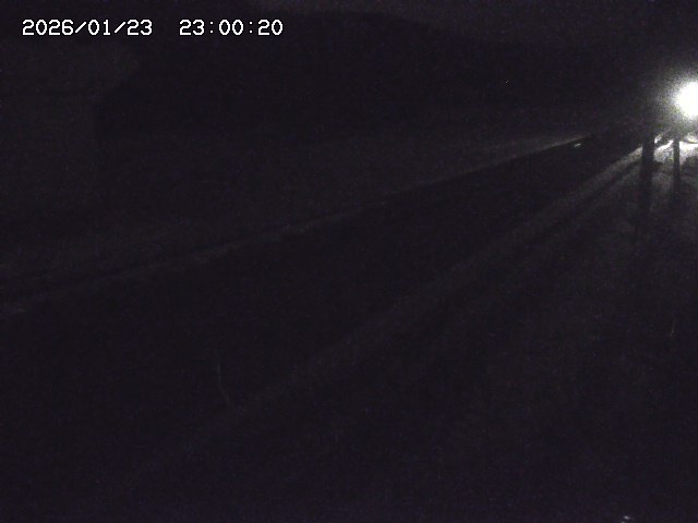 北条川２2026/01/24 2:50:00