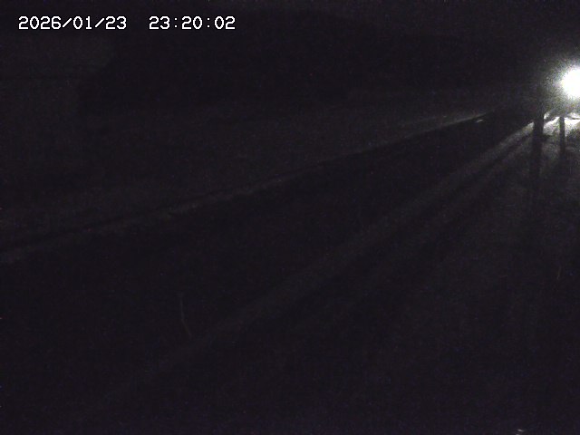 北条川２2026/01/24 2:50:00