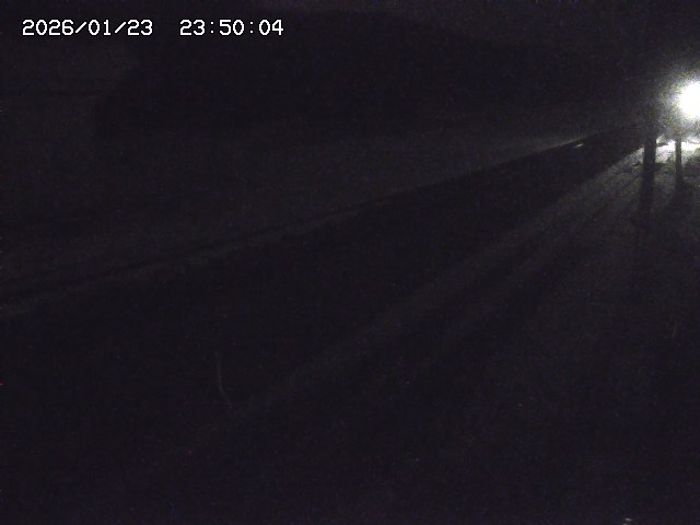 北条川２2026/01/24 2:50:00