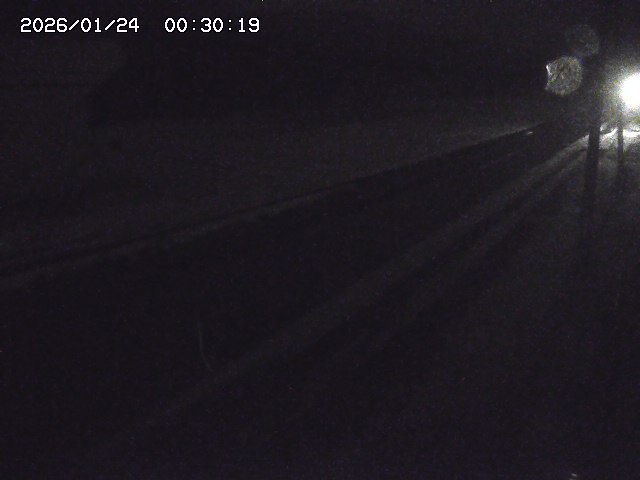 北条川２2026/01/24 2:50:00