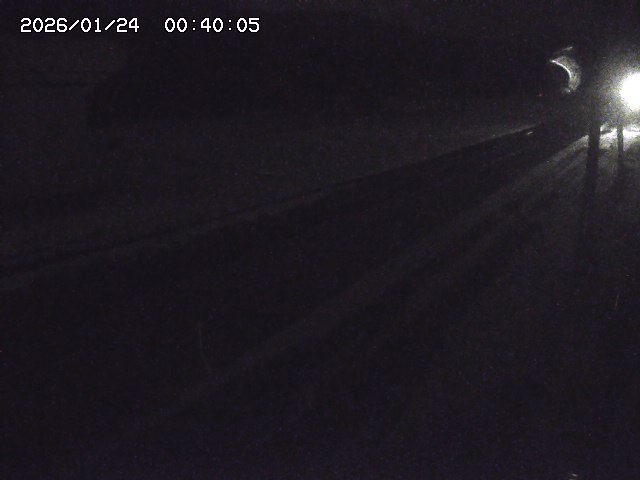 北条川２2026/01/24 2:50:00