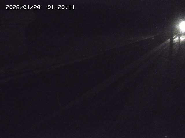 北条川２2026/01/24 2:50:00