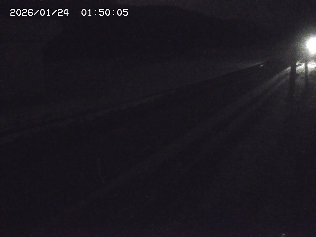 北条川２2026/01/24 2:50:00