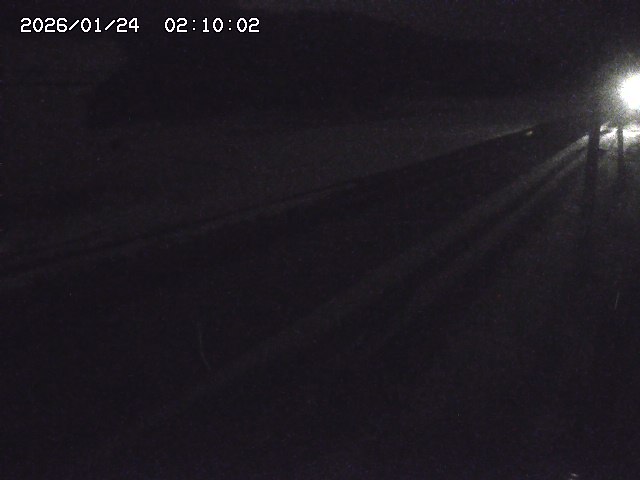 北条川２2026/01/24 2:50:00