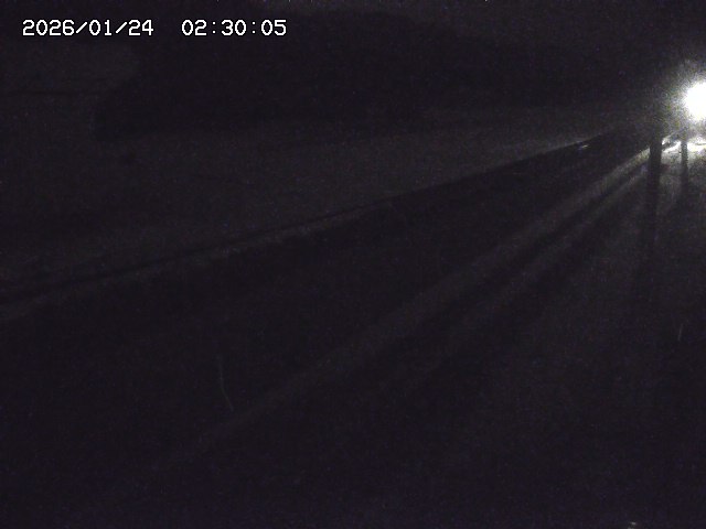 北条川２2026/01/24 2:50:00