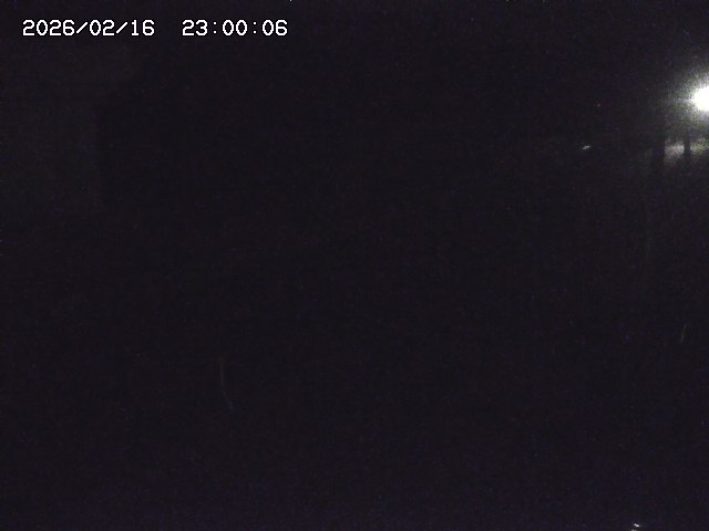 北条川２2026/02/17 18:20:00