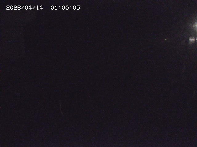 北条川２2026/04/14 17:00:00