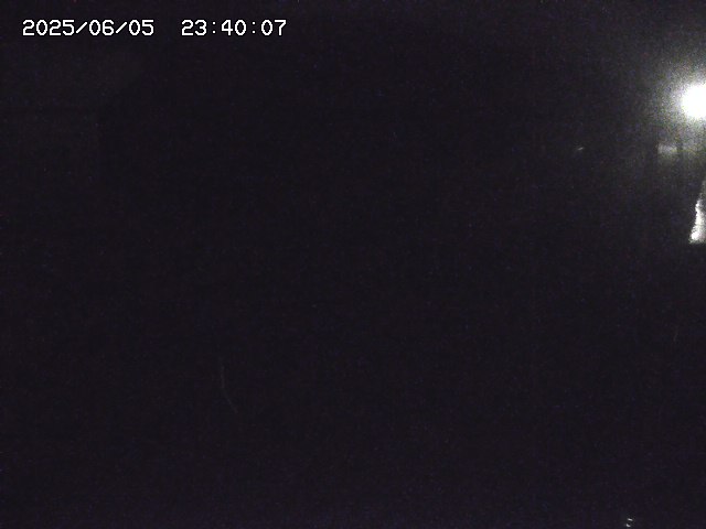 北条川２2025/06/06 1:30:00