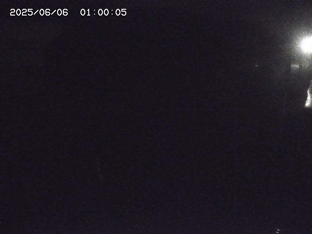 北条川２2025/06/06 1:30:00