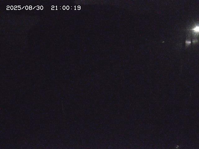 北条川２2025/08/31 9:20:00
