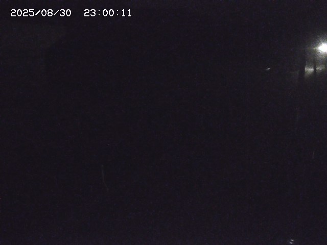 北条川２2025/08/31 9:20:00