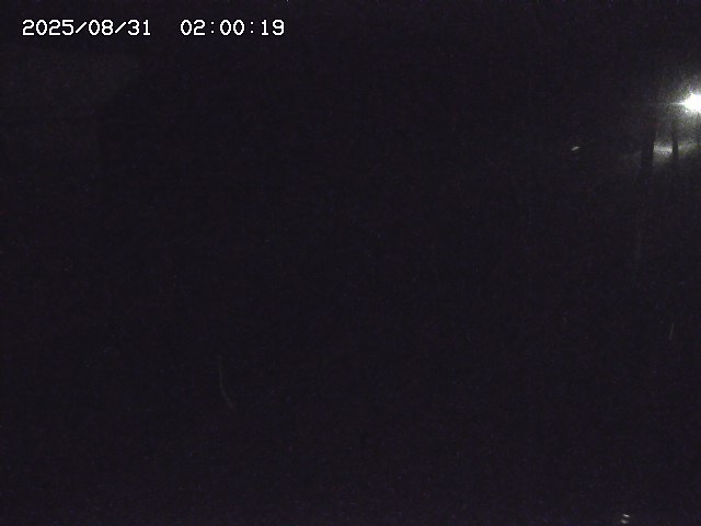 北条川２2025/08/31 9:20:00
