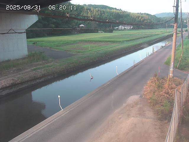 北条川２2025/08/31 9:20:00