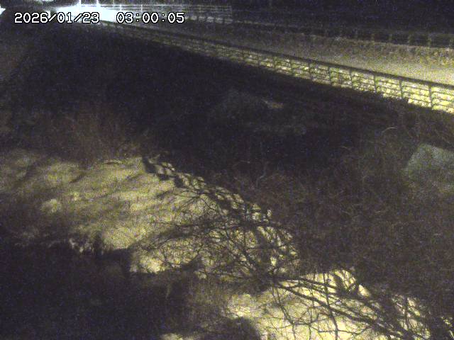 洗川１2026/01/24 3:00:00