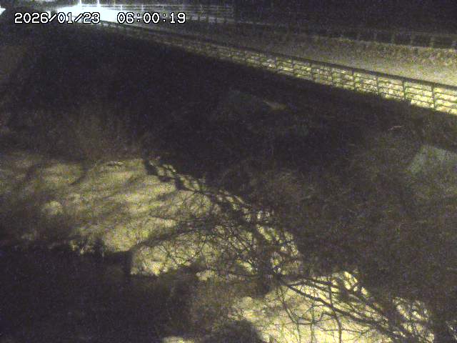 洗川１2026/01/24 3:00:00