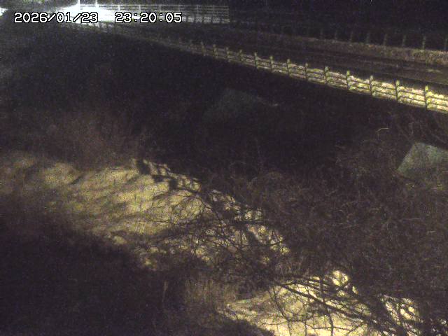 洗川１2026/01/24 3:00:00